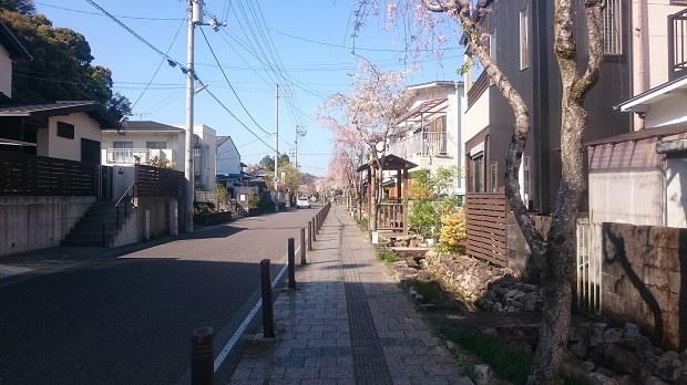 中村大神宮付近にある水路